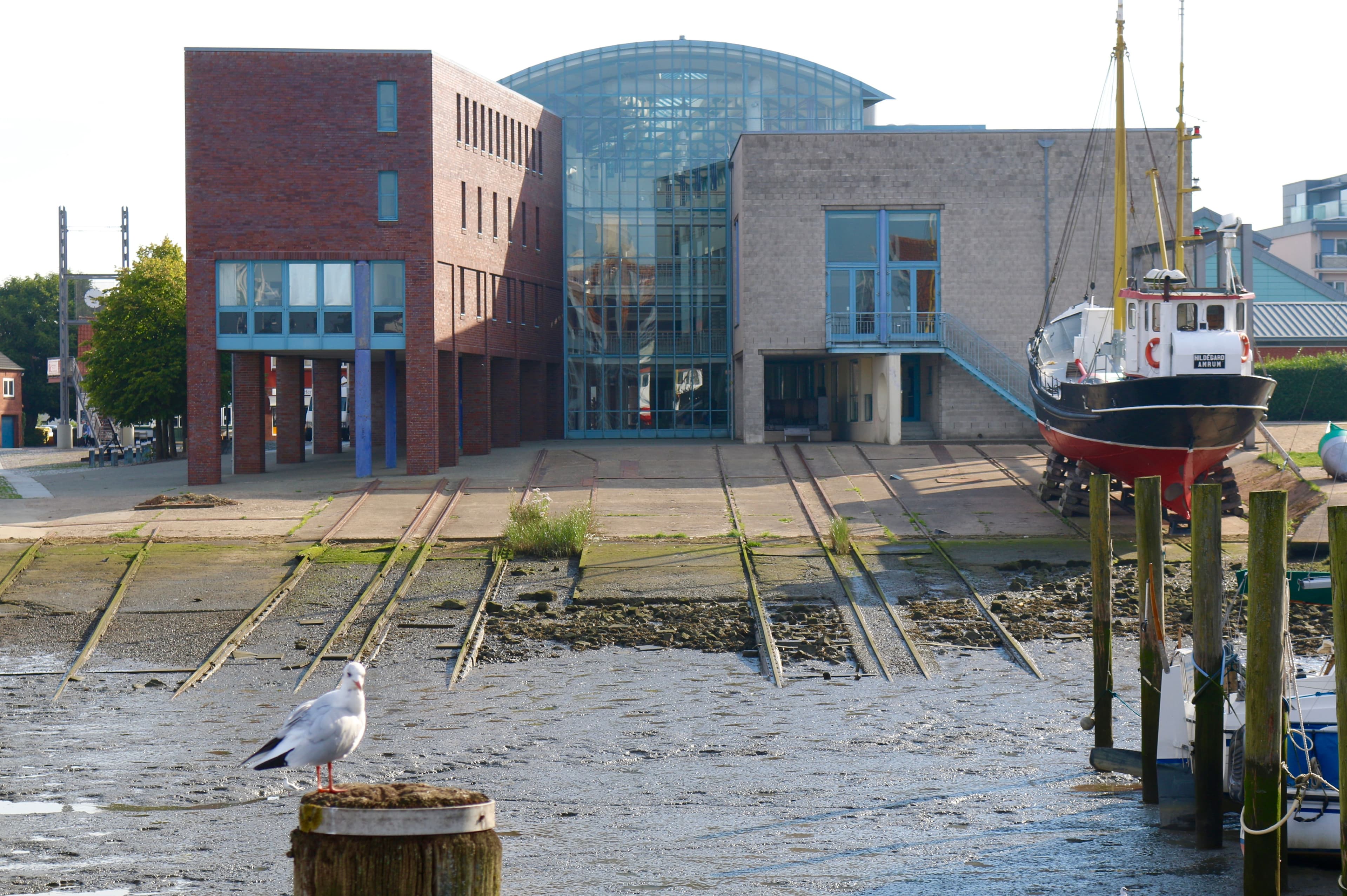 Girls´ Day und Boys´ Day in Husum: Eine Entdeckungsreise in die Berufswelt