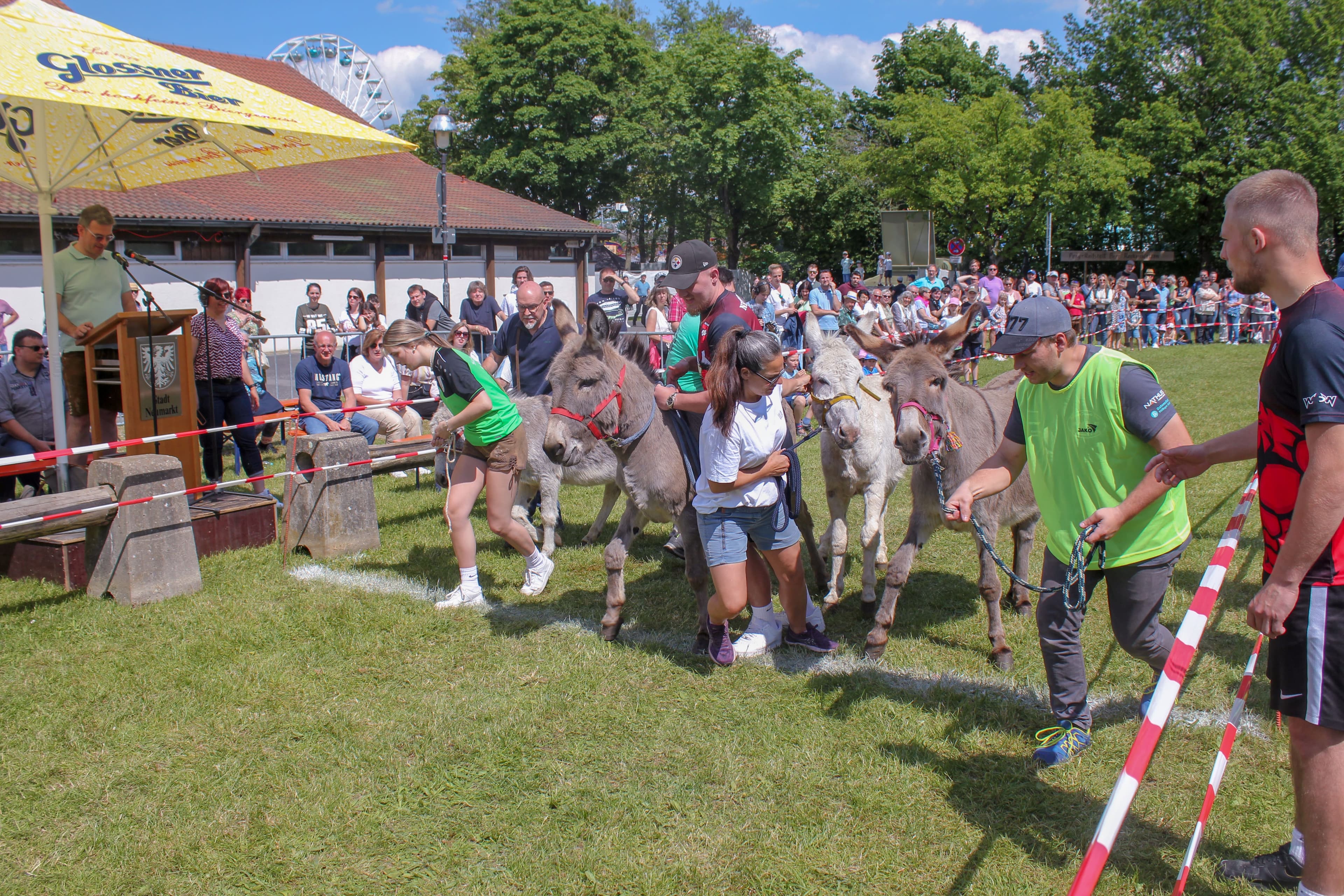 Verkehrszählung am Marienhofweg
