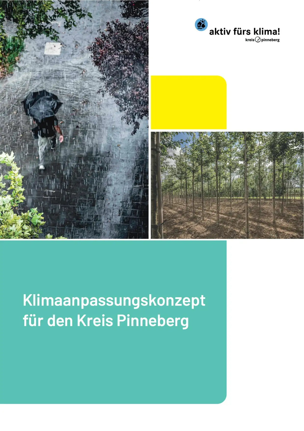 Titel-/Deckseite der Pressemitteilung zum Klimaanpassungskonzept des Kreises Pinneberg.
